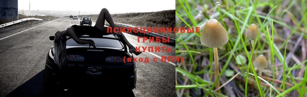индика Лиски