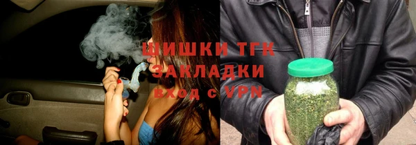 хмурый Ладушкин