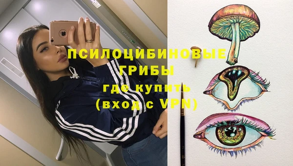хмурый Ладушкин