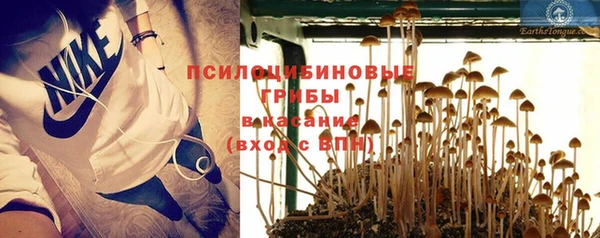 хмурый Ладушкин