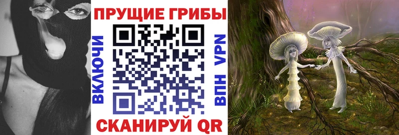 Галлюциногенные грибы Psilocybe  магазин продажи   kraken ONION  Кяхта 